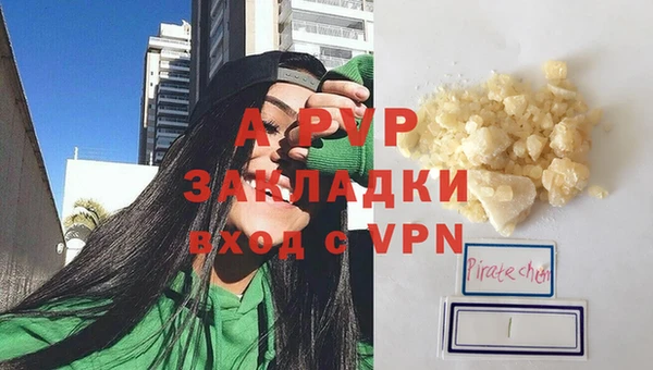 PSILOCYBIN Гусиноозёрск