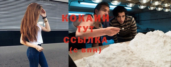 гидропоника Горнозаводск
