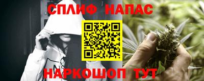прущие грибы Камышлов