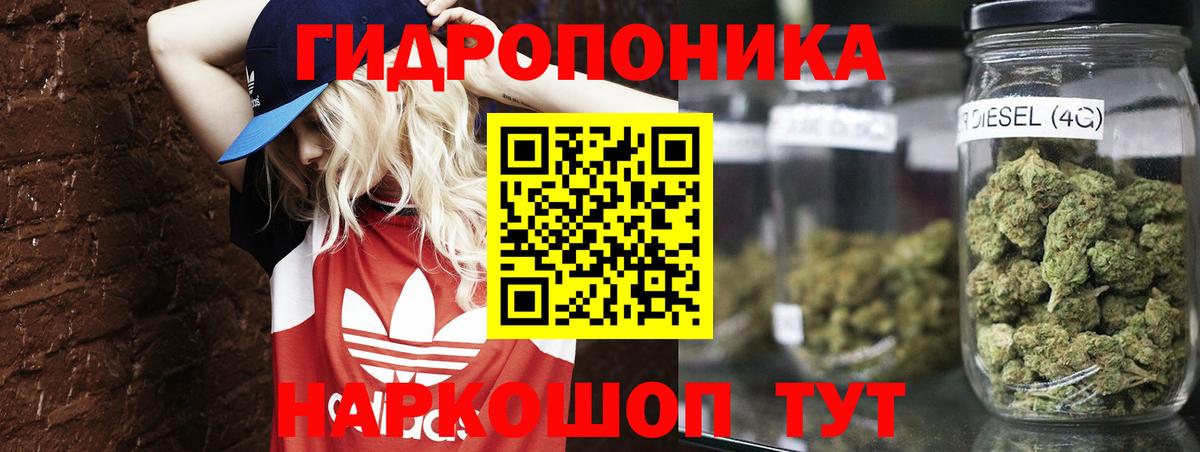 Шишки марихуана гибрид  Каннабис план  Бошки Шишки Amnesia  Вход с VPN  Марихуана марихуана  Мценск 